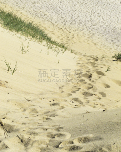 柯德角,脚印,陡峭,小路,沙丘,海滩,特罗,特鲁罗,鞋印,马萨诸塞