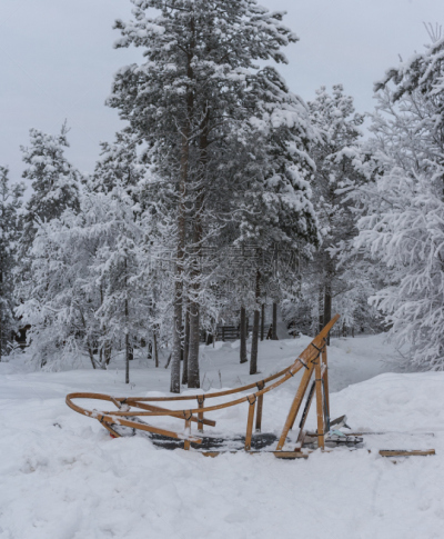 拉普兰,狗,芬兰,动物雪车,垂直画幅,萨利色尔卡,雪,旅行者,户外,斯堪的纳维亚半岛