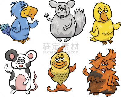 可爱的,绘画插图,卡通,宠物,南美栗鼠,豚鼠,毛茸茸的毛皮,金鱼,哺乳纲,动物