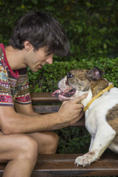 业主,特写,斗牛犬,长椅,英格兰斗牛犬,自然,垂直画幅,人,夏天,户外