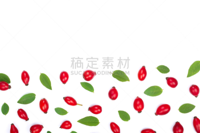 留白,风景,浆果,式样,文字,平铺,蔷薇果,白色背景,分离着色,上装