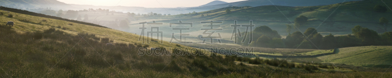 轻的,早晨,风景,黎明,草,全景,英格兰,动物主题,英格兰湖区,户外