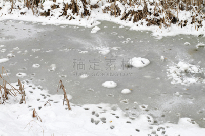 史云顿,脚印,运河,冻结的,枯萎的,牵道,威尔特,自然,水,寒冷
