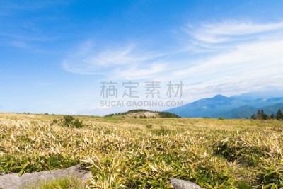 长野县,自然,地形,日本,美原,自然美,风景,重要,莫斯特,布置