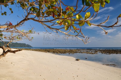 海滩,岛,印度,安达曼海,哈弗洛克岛,安达曼群岛,水平画幅,沙子,无人,阴影