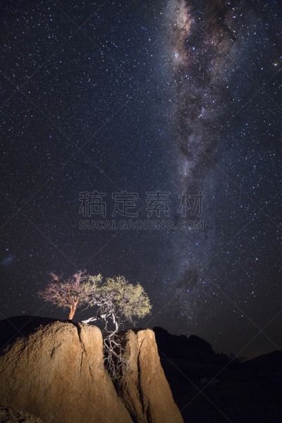 在下面,岩石,街道,北开普省,纤毛虫,基特曼舒普,芦荟树木,斯皮兹考普,毛洋槐,达马拉兰