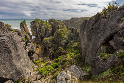 呼吸孔,新西兰,薄饼岩,punakaiki,帕帕罗瓦国家公园,自然,图像,薄烤饼,海洋,石灰石