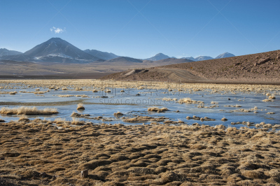 智利,阿塔卡马沙漠,里约热内卢,接力赛,活火山,水,水平画幅,无人,偏远的,户外