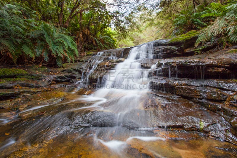 mele cascades waterfall,埃法特岛,蓝山,水,美,新南威尔士,水平画幅,瀑布,无人,湿