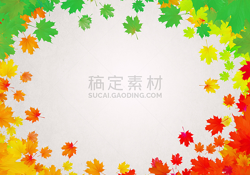 秋天,叶子,自然,式样,水平画幅,无人,九月,叶脉,特写,华丽的