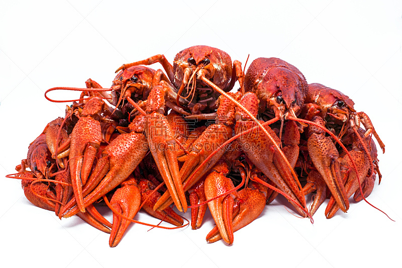 爪,红色,分离着色,巨大的,白色,多汁的,螯虾,煮食,温度,水平画幅