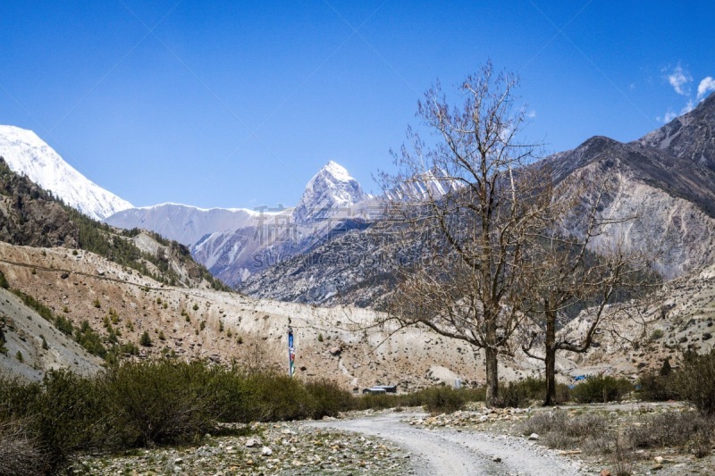 喜马拉雅山脉,徒步旅行,旅途,安纳普纳生态保护区,运动,山口,景观设计,顶部,尼泊尔,雪