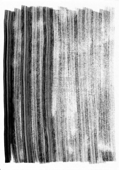 纹理,垂直画幅,美术效果,捷克,2015年,笔形海胆,刷状缘,摄影