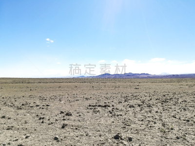 智利,自然,火烈鸟,野生动物保护区,路,南美,水,水洞湖,水平画幅,无人