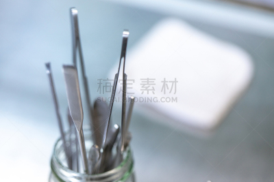 植物,微生物,实验室,技能,农业,科学实验,遗传研究,技术,泰国,细胞