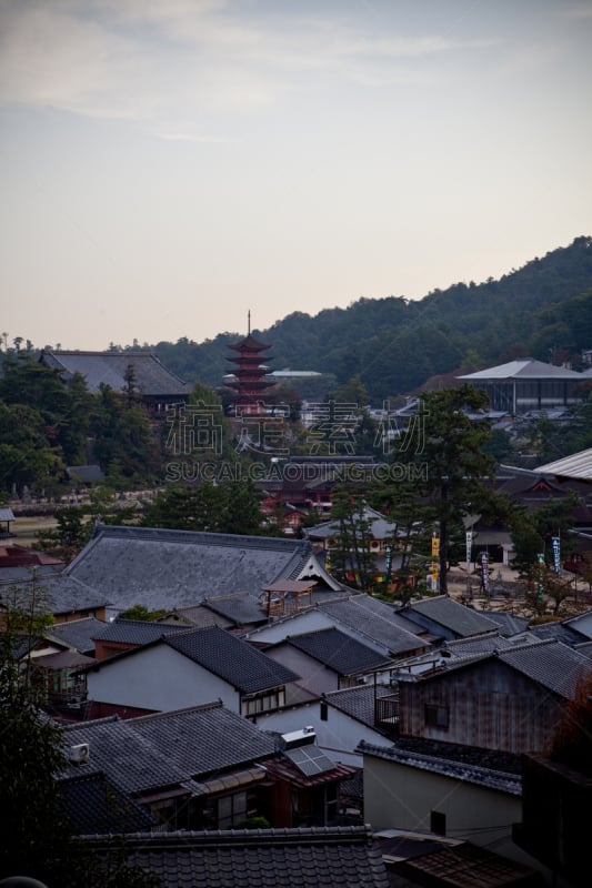 宫屿,黎明,严岛神社,鸟居,日本之神道教,广岛县,垂直画幅,旅游目的地,无人,日本