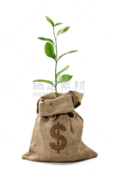 钱袋,血汗钱,大口袋,白色,开端,绳子,商务,生长