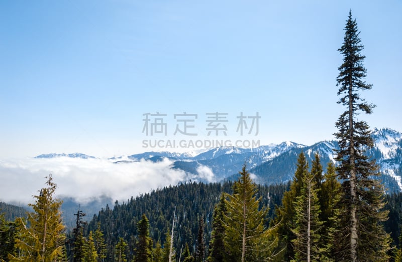 飓风山脊,国际生物圈保护区,奥林匹克山脉,奥林匹克山,水平画幅,雪,无人,户外,冬天,山