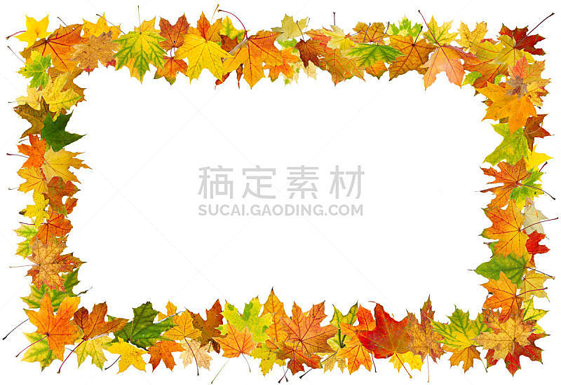 边框,秋天,叶子,空的,背景分离,枯萎的,模板,自然美,装饰物,植物