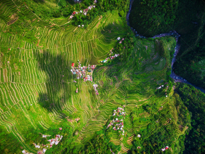 北,米,菲律宾,梯田,吕宋岛,风景,顶部,台阶,水平画幅,高视角