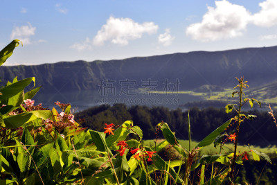拉格那沃德湖,麻省理工学院,塞特港,水平画幅,无人,火山地形,八仙花属,户外,印度姜花,塞蒂拉瓜斯