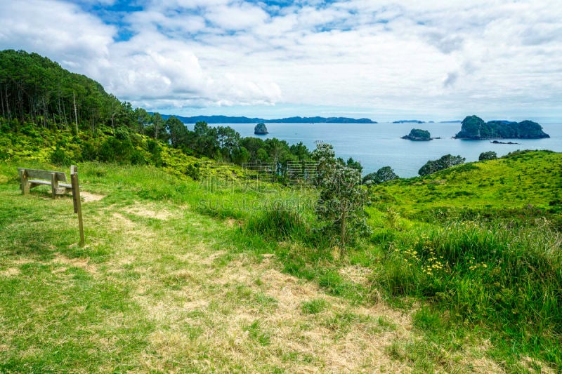 草,cathedral cove,绿色,科罗曼德尔半岛,新西兰,枝繁叶茂,五只动物,美,水平画幅,草坪