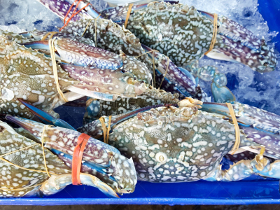 生食,海产,螃蟹,清新,市场,剑尾鱼,水平画幅,超级市场,膳食,特写