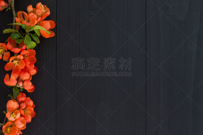 背景,木制,春天,花朵,在上面,高视角,纯净,夏天,果园