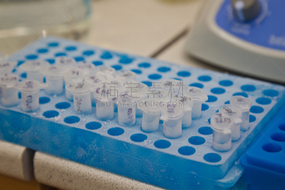 井,盘子,脱氧核糖核酸,试管,冻结的,医学样本,面部表情,生物科技,水平画幅,装管