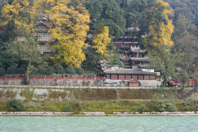 都江堰 ,寺庙,秋天,风景,成都,银杏,四川省,旅游目的地,水平画幅,建筑