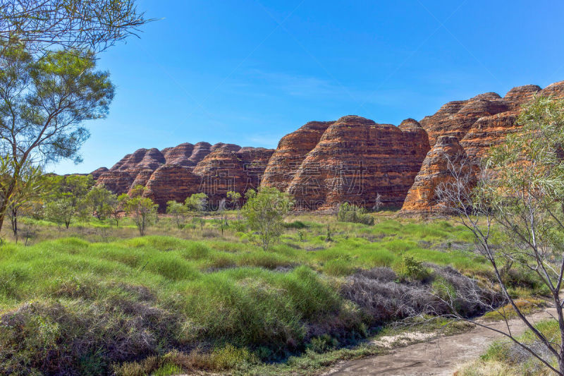 purnululu national park,邦格尔邦格尔山脉,金伯利高原,西澳大利亚,自然,环境,图像,灌木,无人,野生动物保护区