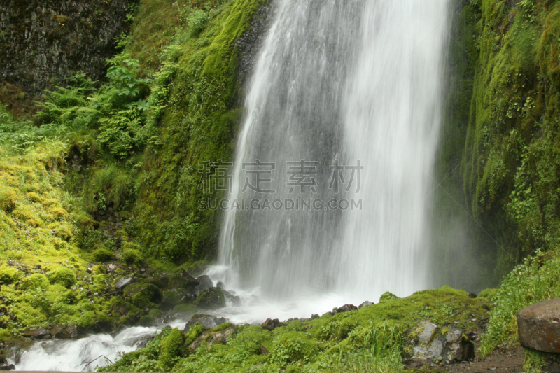 枝繁叶茂,瀑布,与众不同,wahkeena waterfall,哥伦比亚河谷,自然,水,俄勒冈州,俄勒冈郡,宁静