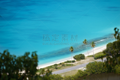 高视角,海滩,加勒比海地区,达克伍德海岸,安提瓜和巴布达,安提瓜,水,水平画幅,无人,椰子树