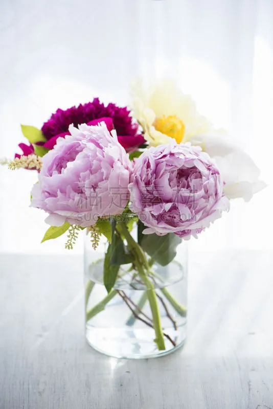 牡丹 花束 Age Of Gold Peony Artemis Peony Coral Supreme Peony 粉公主牡丹花 花瓶 牡丹 树 垂直画幅 无人图片素材下载 稿定素材 牡丹 花束 Age Of Gold Peony Artemis Peony Coral Supreme Peony 粉公主牡丹花 花瓶 牡丹 树 垂直画幅 无人图片素材下载 稿定素材