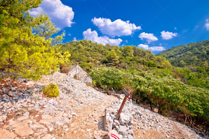 布拉奇岛,小路,达尔马提亚地区,克罗地亚,石头,沙漠,纪念碑,水平画幅,传统