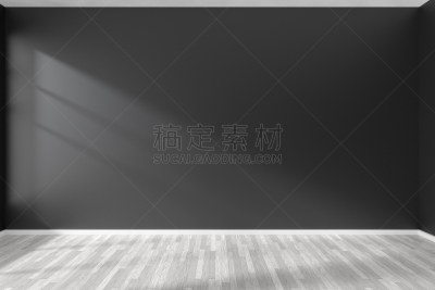 墙,白色,空的,住宅房间,镶花地板,黑色,办公室,留白,未来,水平画幅