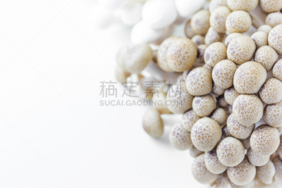 清新,食用菌,有机食品,蔬菜,健康食物,食品,图像,孢子,素食,姬菇
