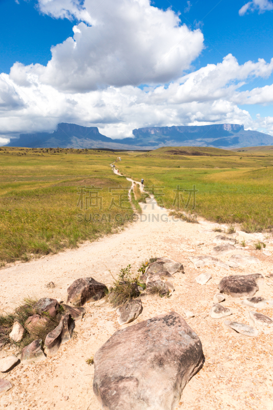 罗赖马山,罗赖马州,平顶山,平顶山区,canaima,委内瑞拉,垂直画幅,南美,无人,户外