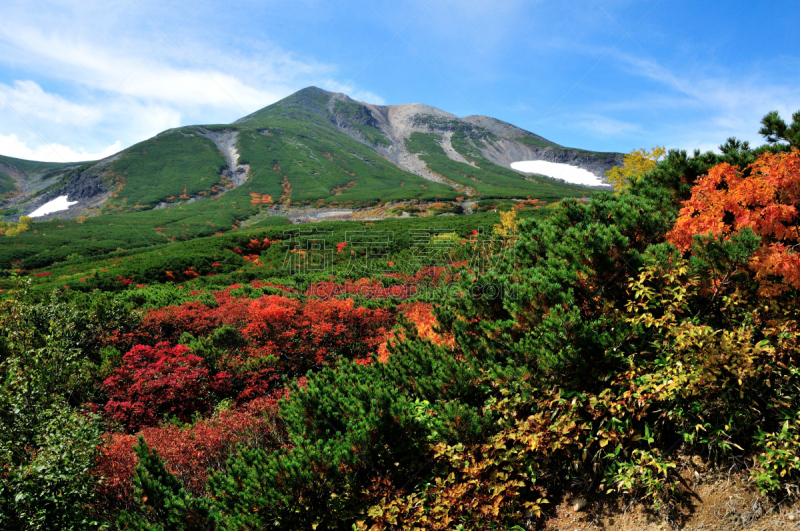 长野县,日本,秋天,国内著名景点,旅途,东亚,休闲活动,户外,乘鞍高原,伆霸