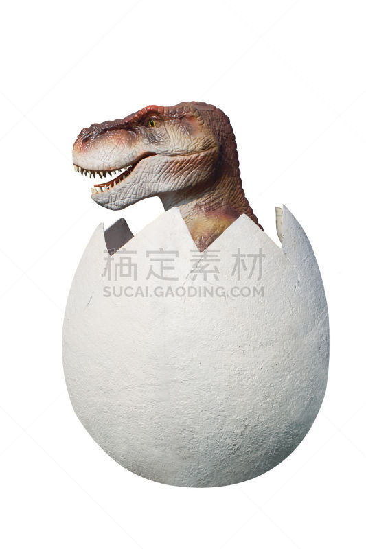 恐龙,垂直画幅,已灭绝生物,侧面视角,新生活,无人,白色背景,完整,恐龙蛋,摄影