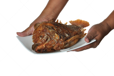 盘子,鱼类,上菜,罗非鱼,餐具,格子烤肉,水平画幅,膳食,海产,特写