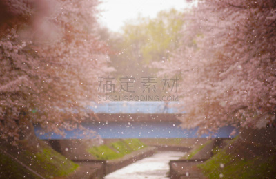 风景,环境,神田河,图像,瓷砖,春天,无人,大风雪,河流,水平画幅