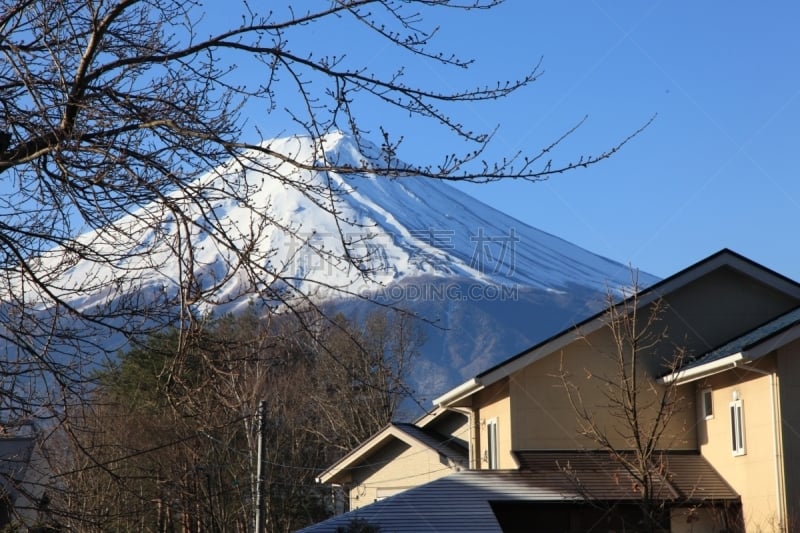 富士山,视角,富士箱根伊豆国立公园,河口湖,天空,水平画幅,樱花,雪,无人,蓝色