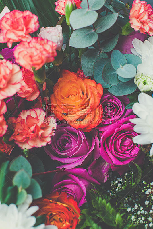 花束,自然美,曝光过度,仅一朵花,康乃馨,色彩鲜艳,明亮,玫瑰,粉色,特写