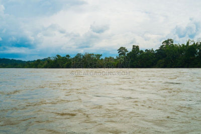 纳波,亚马逊雨林,厄瓜多尔,自然,水,亚马逊地区,水平画幅,绿色,枝繁叶茂,地形