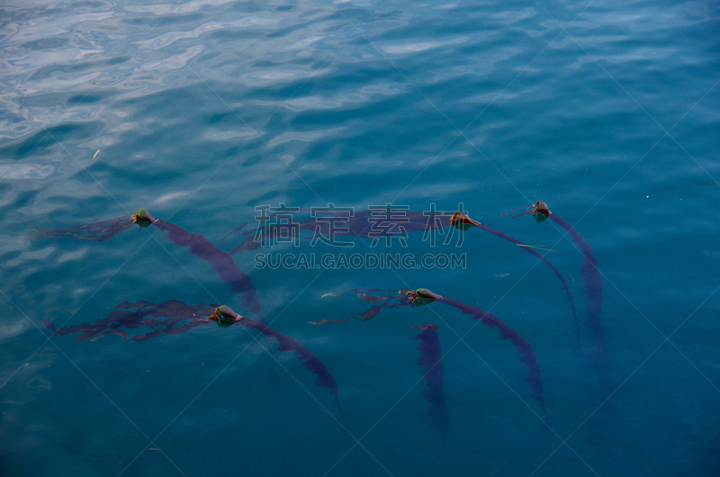 海洋,波浪,潮汐,奥格登,海藻灰,青绿色,维多利亚州,破浪堤,纯洁,挨着