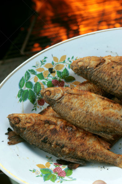 火,鱼肉,食用油,深的,菜单,清新,食品,2015年,户外,精神振作