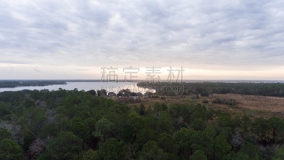 黑水河,自然,风景,图像,佛罗里达,美国,无人,墨西哥湾沿岸国家,河流,户外
