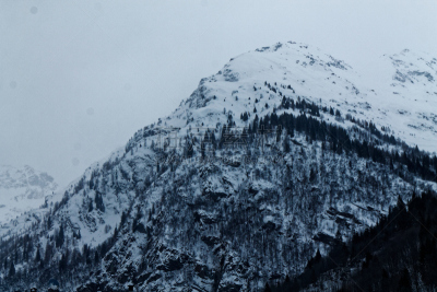天空,雪,冬天,清新,地形,意大利,云,山,覆盖,树