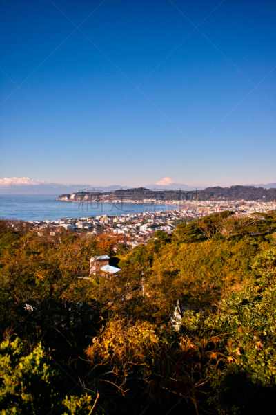 富士山,镰仓市,垂直画幅,雪,无人,东亚,户外,海滩,冬天,山